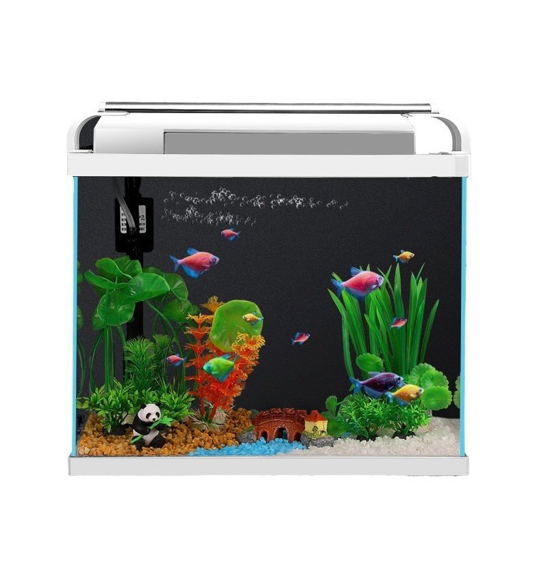 Glass Fish Tank With Light