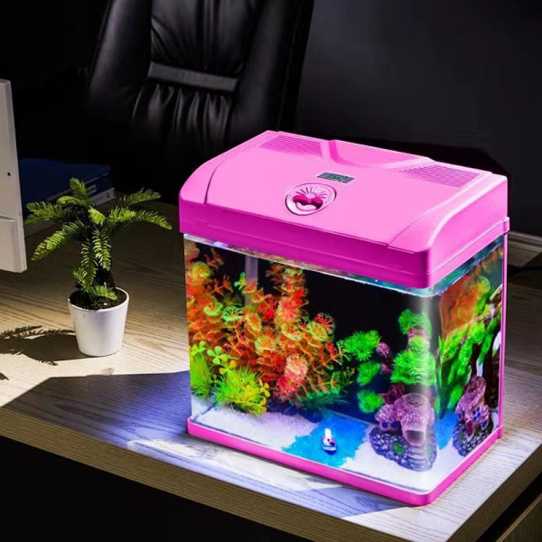 Small Desktop Fish Tank - Image 2