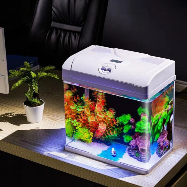 Small Desktop Fish Tank - Image 3