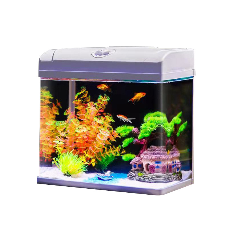 Small Desktop Fish Tank