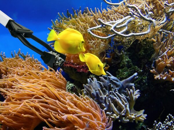 Aquarium Grabber Tool - Image 3