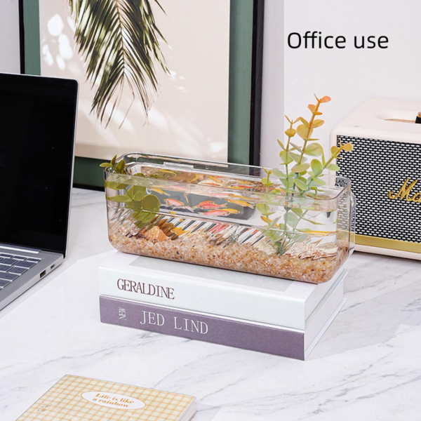 ⁦Mini Wall Mounted Fish Tank⁩ - الصورة ⁦3⁩