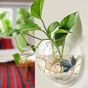 wall fish tank