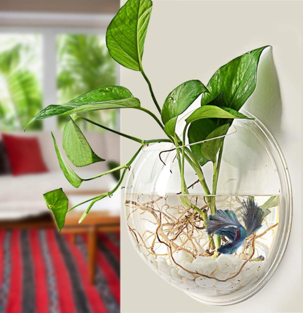 wall fish tank