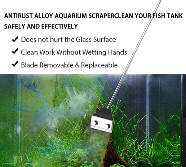 algae scraper for fish tank