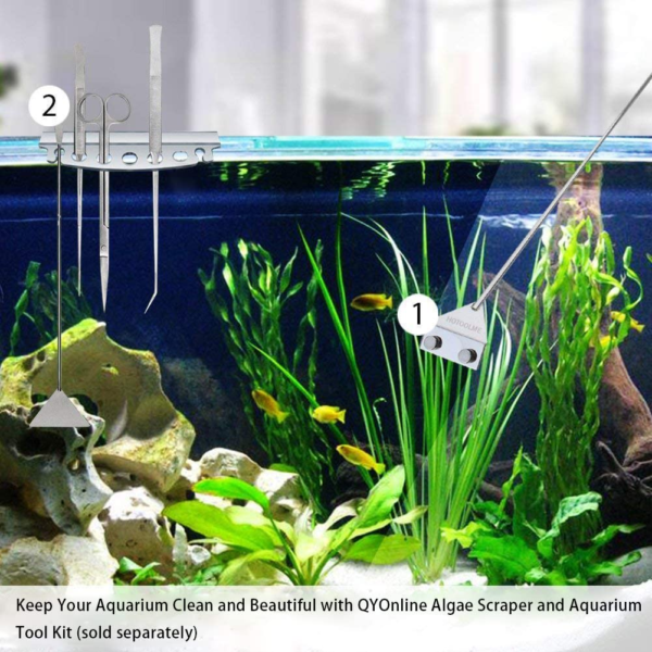 algae scraper for fish tank